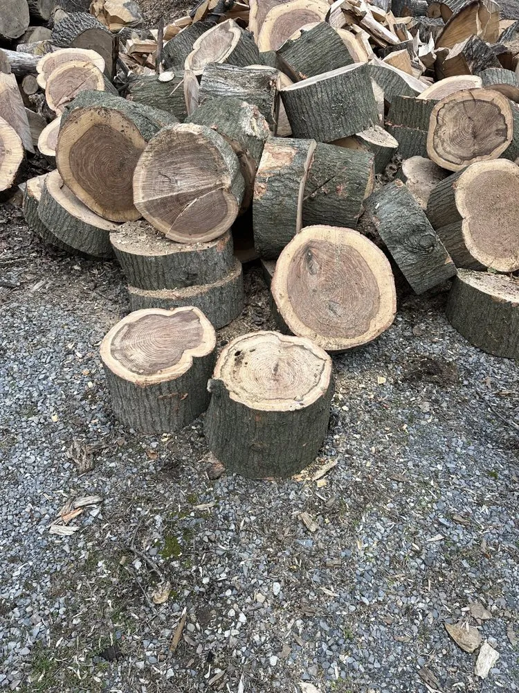 Trusted lawn mowing service experts serving Freehold, NJ - EDZ Tree Service