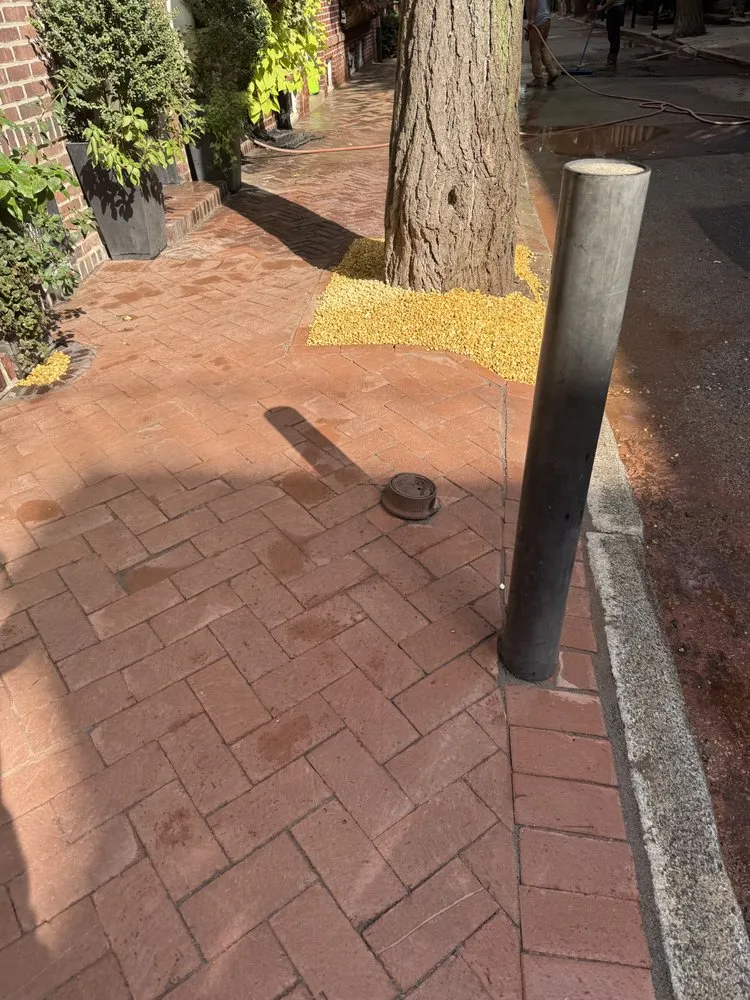 Trusted lawn mowing service for residential properties in Freehold, NJ by EDZ Tree Service