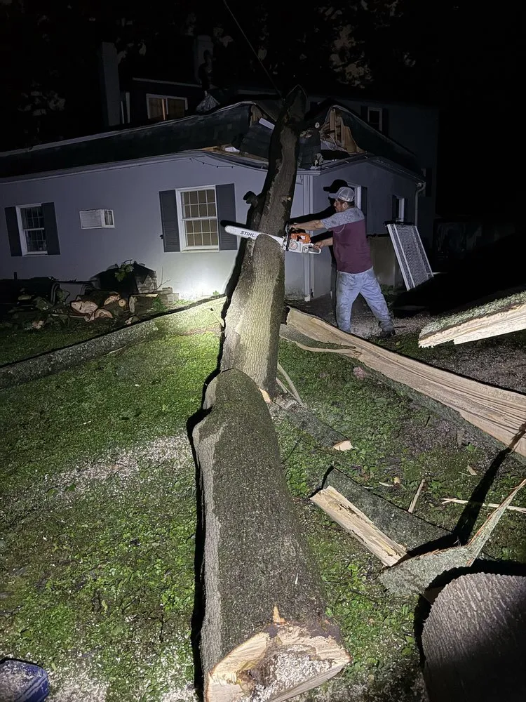 Reliable landscape installation experts serving Freehold, NJ - EDZ Tree Service