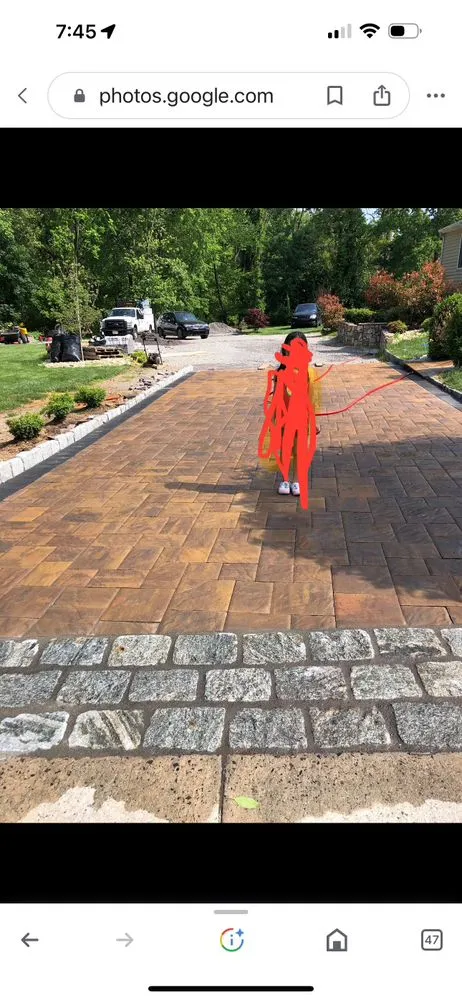 Reliable yard cleanup service in Freehold, NJ by EDZ Tree Service