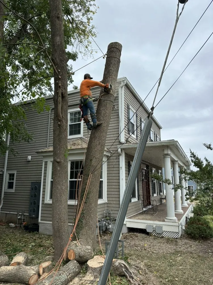 Affordable garden landscaping for beautiful yards across Freehold, NJ - EDZ Tree Service