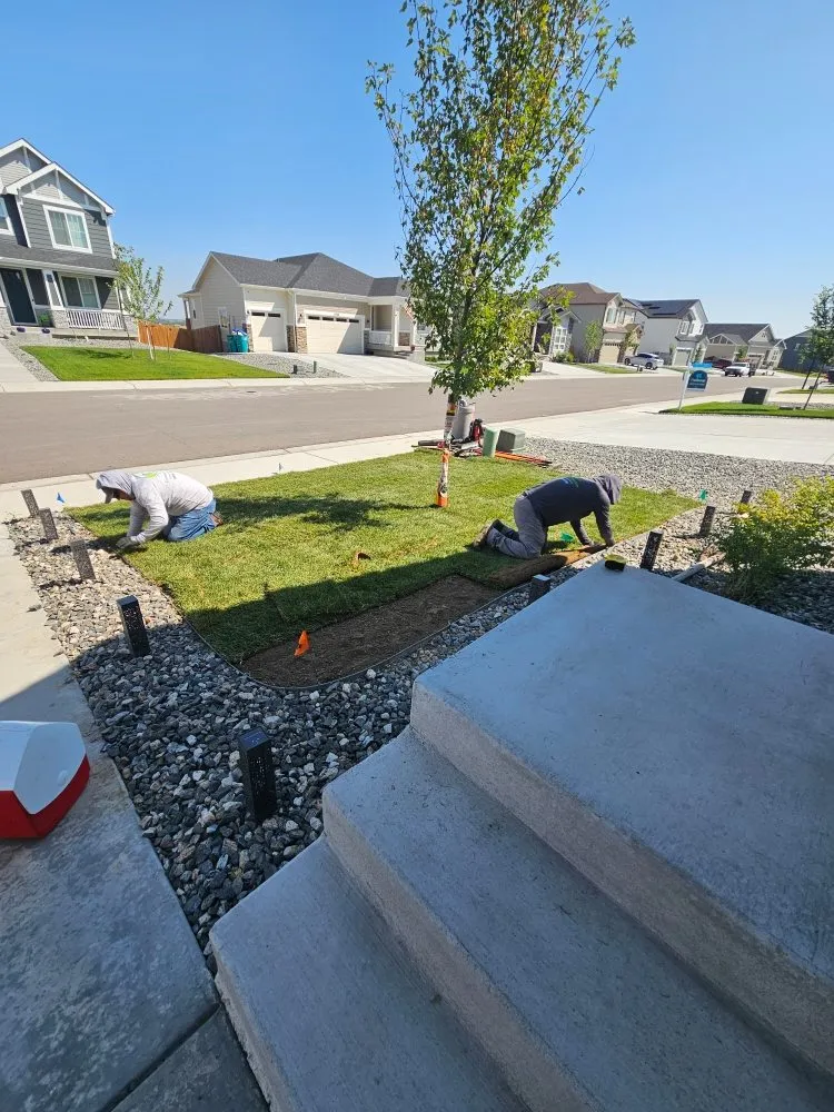 Top-rated lawn care service for homes in Loveland, CO by EE Landscape & Irrigation