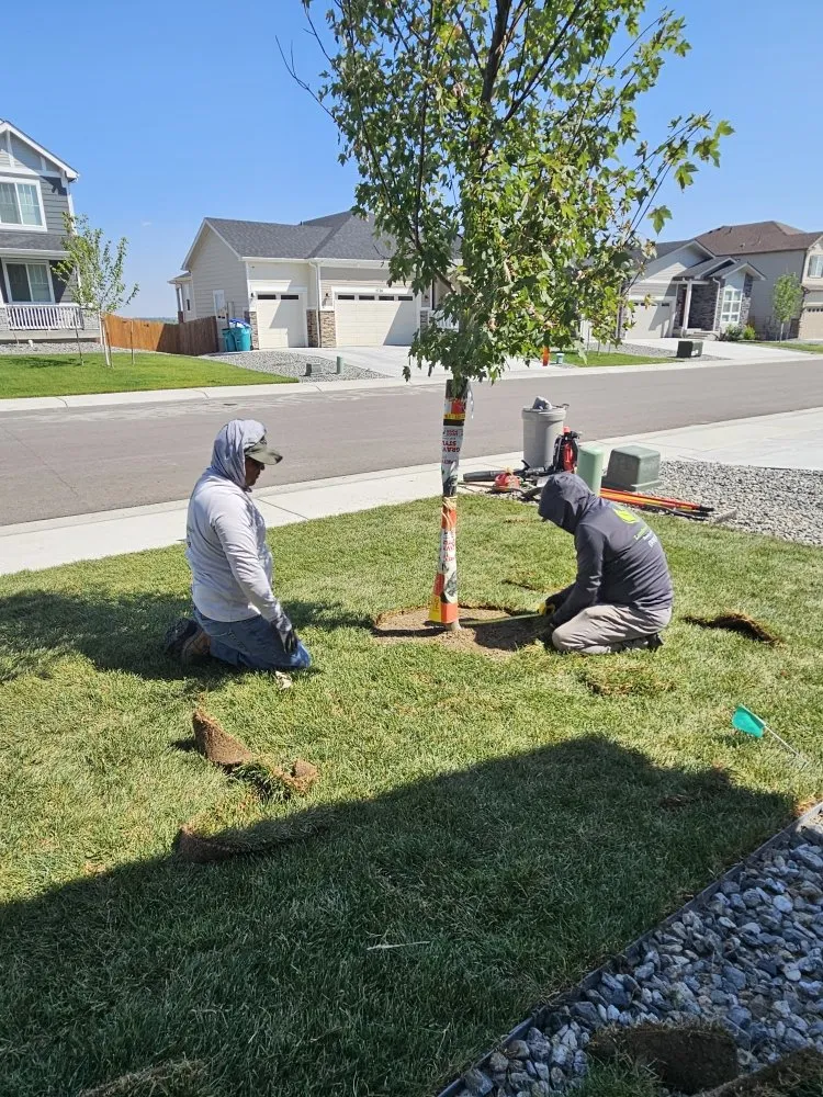 Expert outdoor landscaping experts serving Loveland, CO - EE Landscape & Irrigation