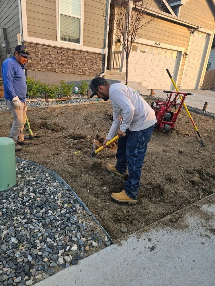 Top-rated lawn mowing service for homes across Loveland, CO - EE Landscape & Irrigation