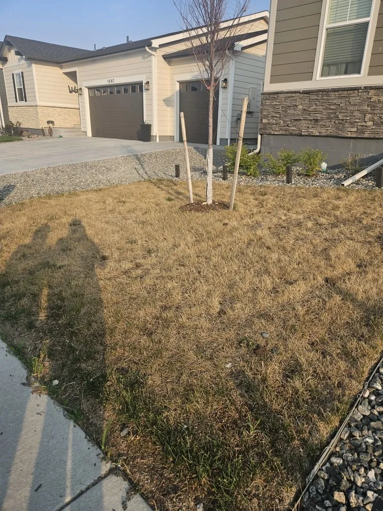 Local landscape design in Loveland, CO by EE Landscape & Irrigation