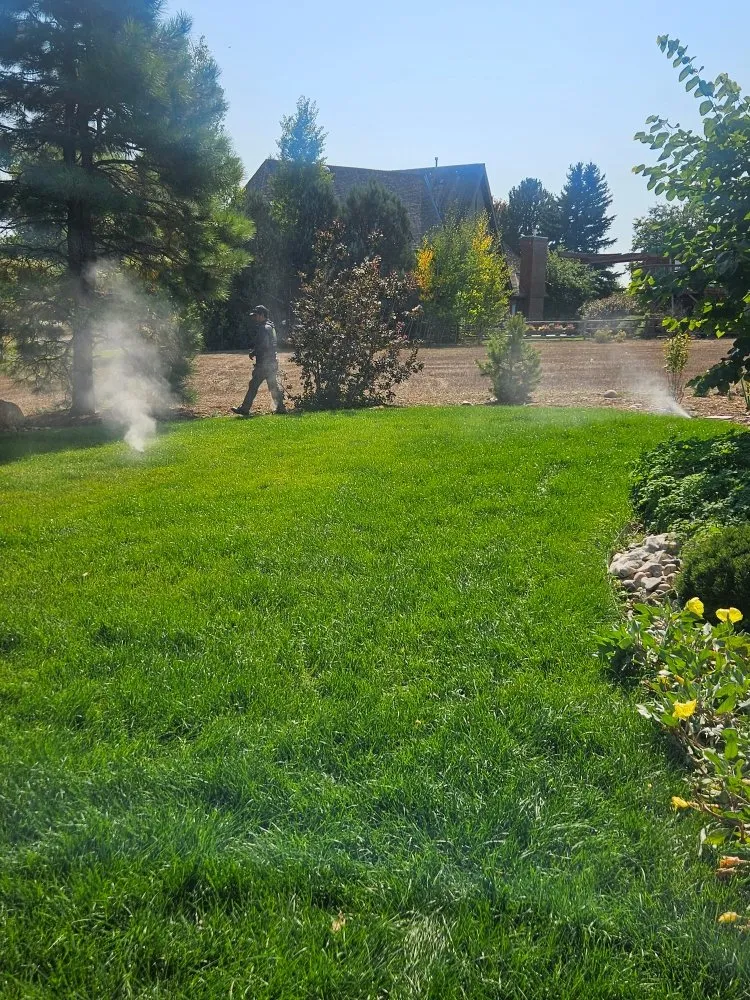 Professional yard cleanup service with custom design across Loveland, CO - EE Landscape & Irrigation