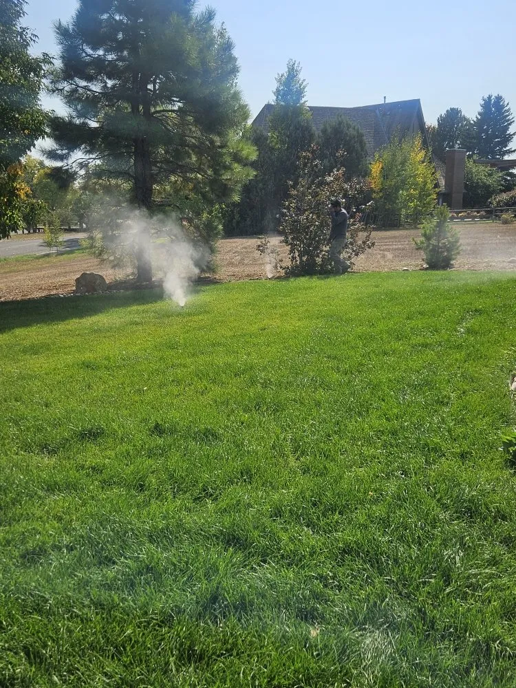 Reliable lawn mowing service in Loveland, CO - EE Landscape & Irrigation