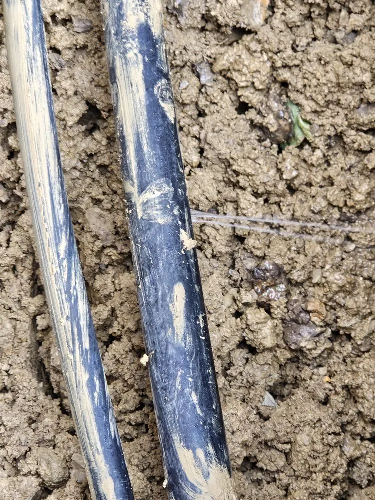 Local residential landscaping in Loveland, CO - EE Landscape & Irrigation