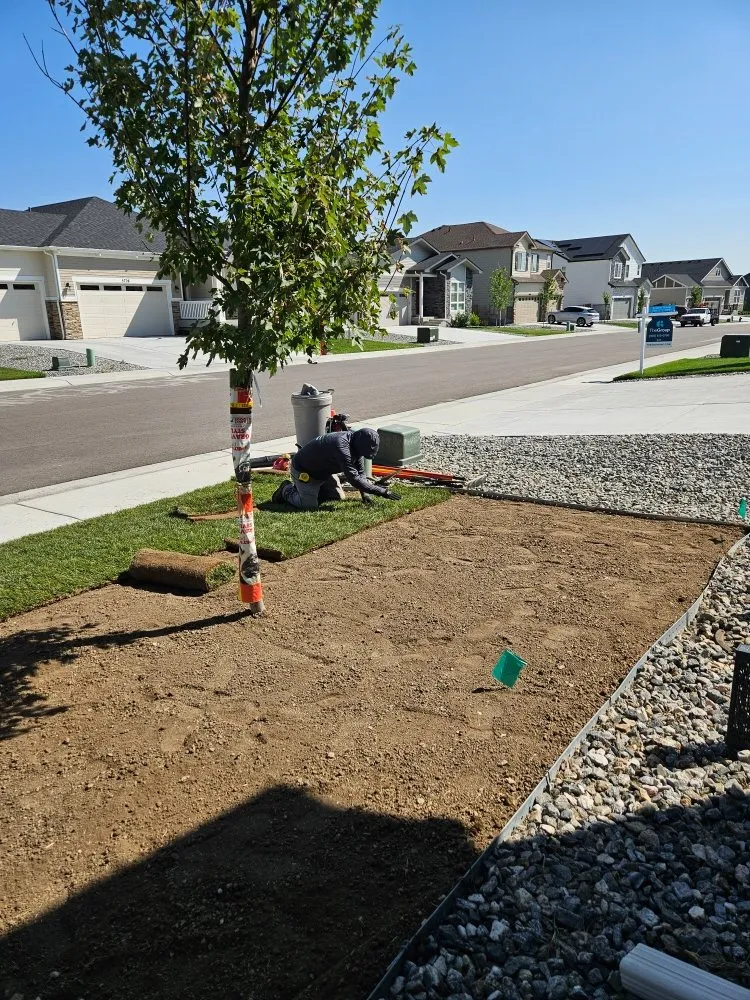 Expert landscape installation for residential properties across Loveland, CO - EE Landscape & Irrigation
