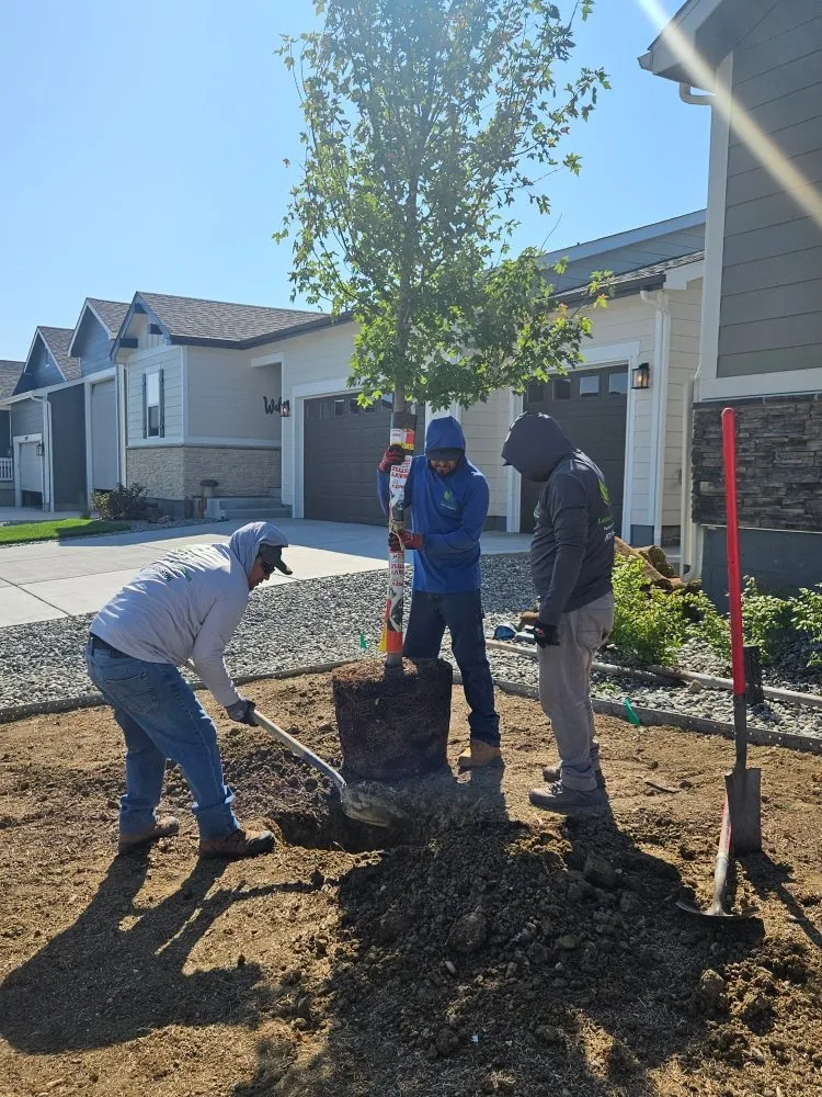 Affordable yard maintenance for outdoor upgrades in Loveland, CO by EE Landscape & Irrigation