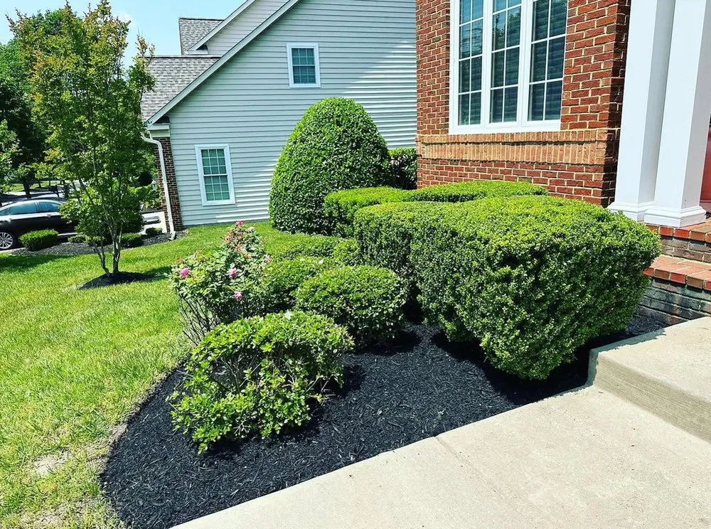 Local lawn care service in Beltsville, MD by E&E Landscape Services