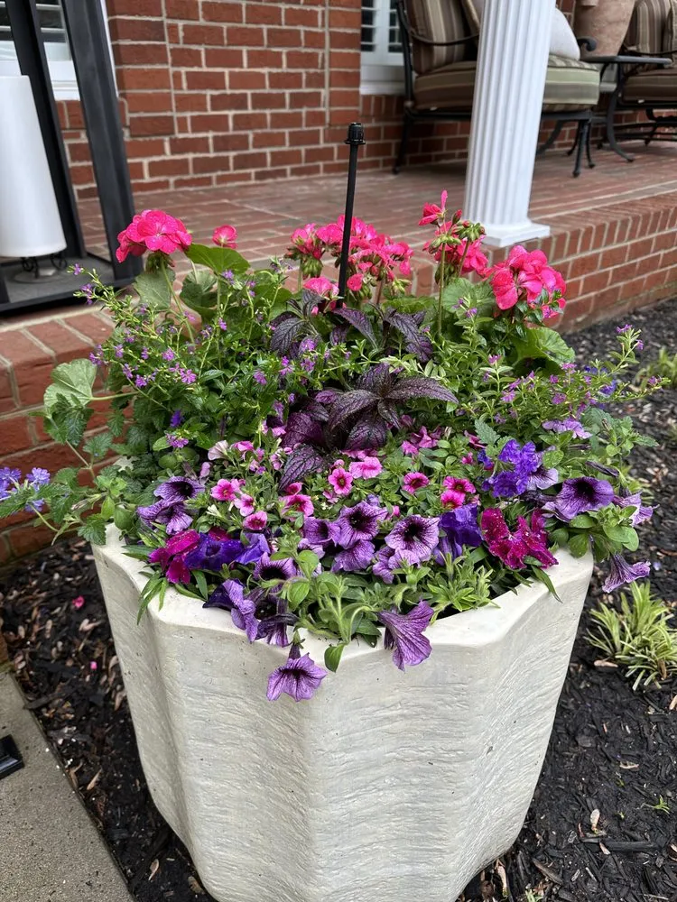 Affordable landscape design in Lewisville, NC by E&E Landscape Solutions