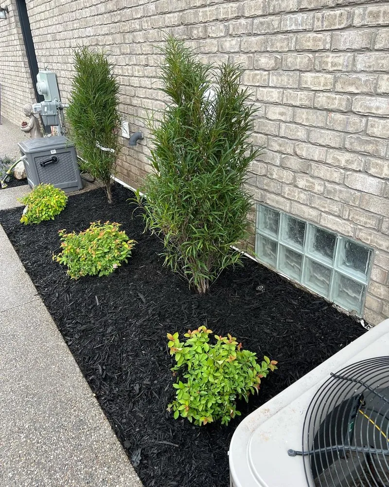 Expert yard maintenance for homes across Sterling Heights, MI - E&E landscape