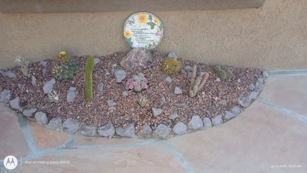 Professional yard maintenance in Tucson, AZ by E&E Landscape