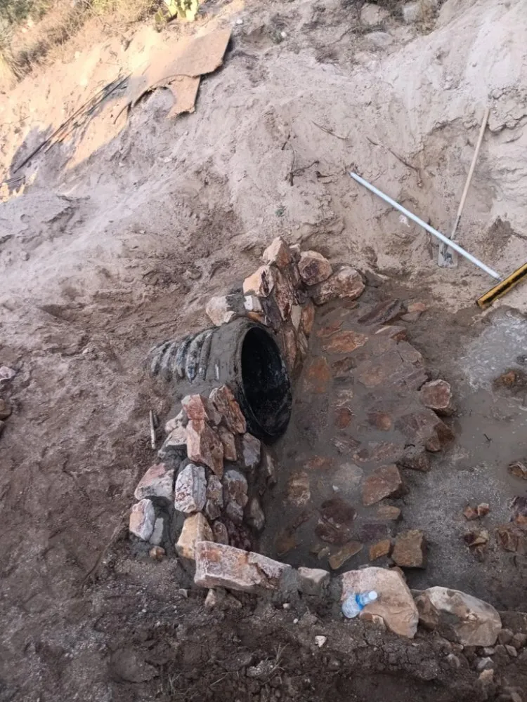 Custom lawn care service in Tucson, AZ by E&E Landscape