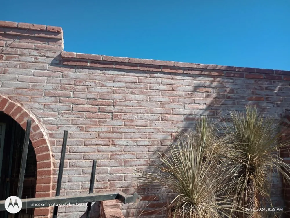 Expert yard maintenance in Tucson, AZ - E&E Landscape