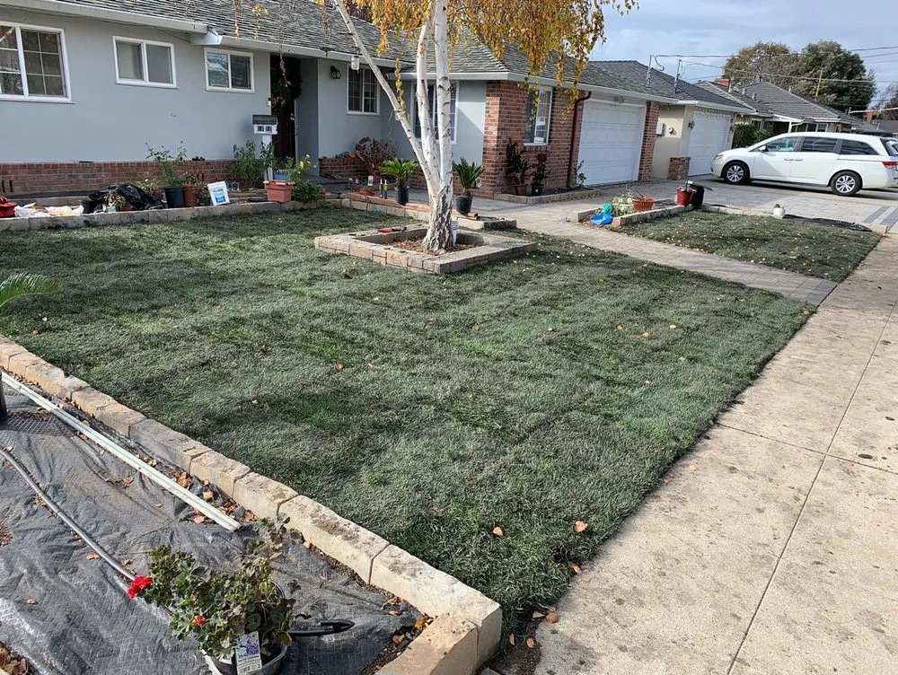 Top-rated residential landscaping experts serving San Jose, CA - E&E Landscaping