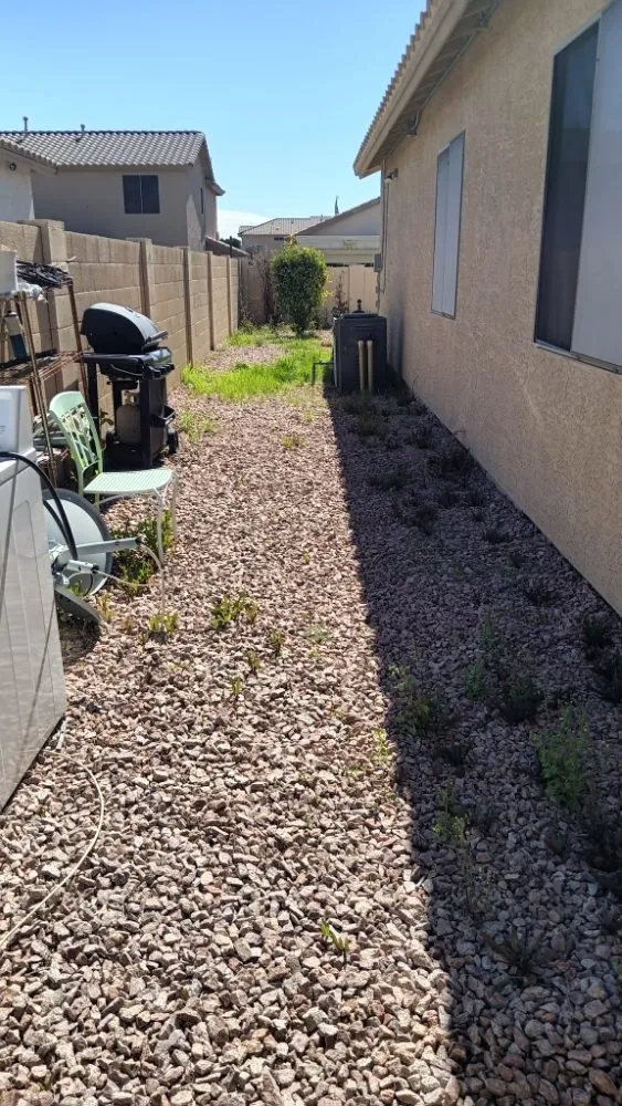 Trusted outdoor landscaping for homes in Phoenix, AZ by E&E Landscaping Services