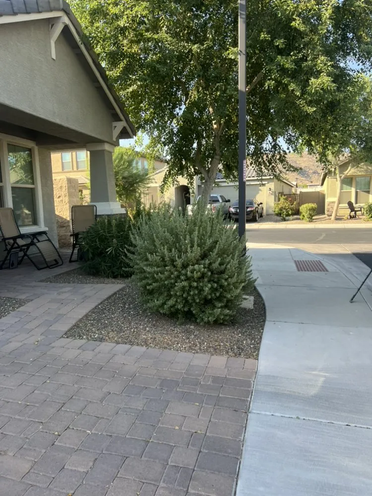 Trusted landscape design near you across Phoenix, AZ - E&E Landscaping Services