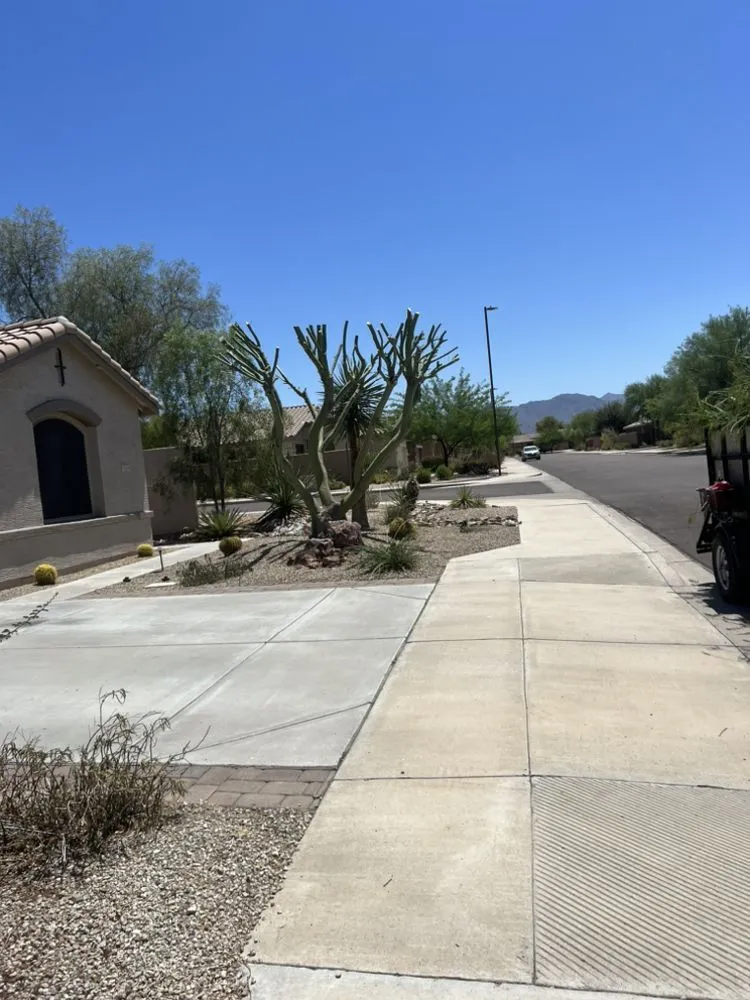 Expert garden landscaping experts serving Phoenix, AZ - E&E Landscaping Services