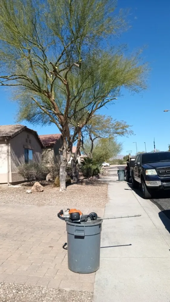 Professional garden landscaping in Phoenix, AZ by E&E Landscaping Services