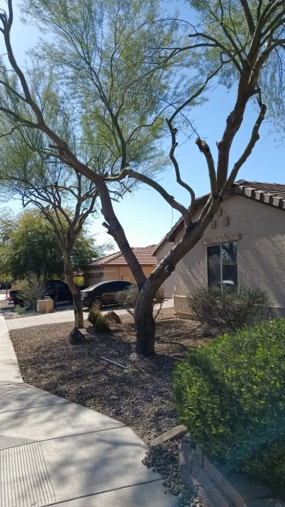 Expert outdoor landscaping experts serving Phoenix, AZ - E&E Landscaping Services