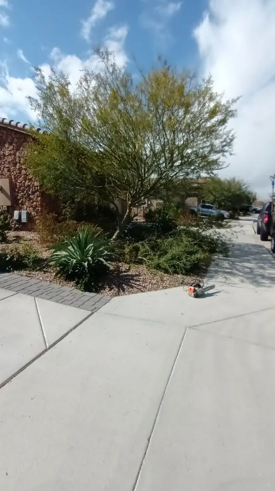 Custom yard cleanup service with custom design across Phoenix, AZ - E&E Landscaping Services