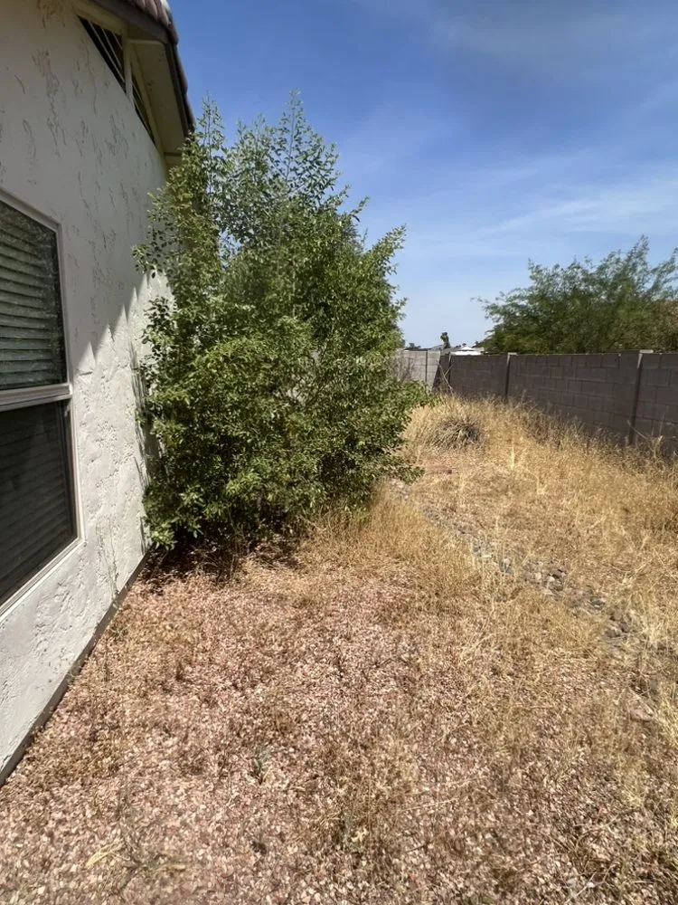 Top-rated lawn mowing service for beautiful yards in Phoenix, AZ by E&E Landscaping Services