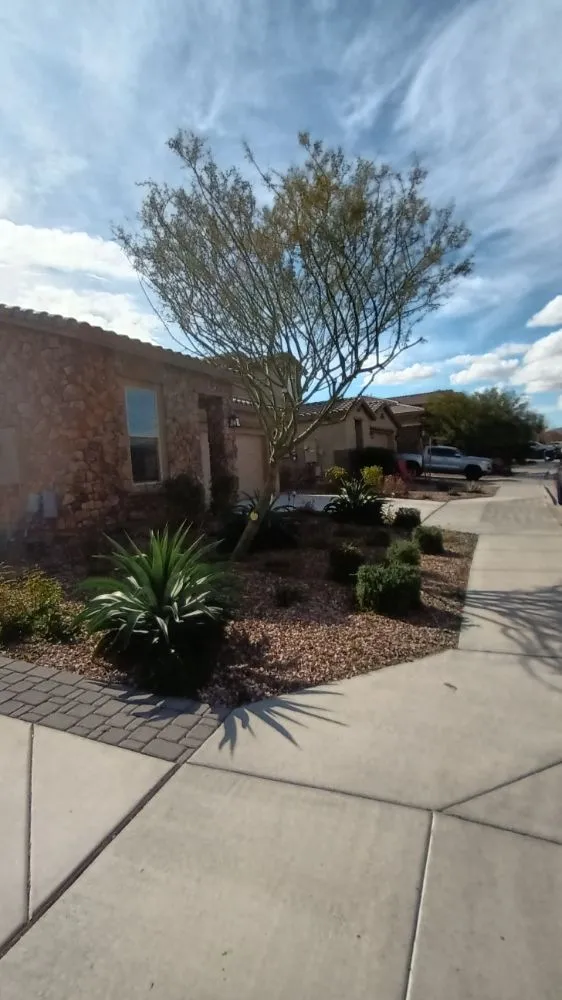 Expert landscape installation experts serving Phoenix, AZ - E&E Landscaping Services