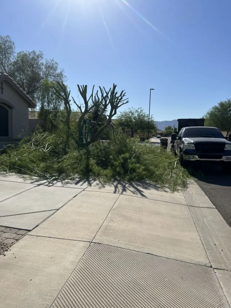 Expert outdoor landscaping for year-round maintenance across Phoenix, AZ - E&E Landscaping Services