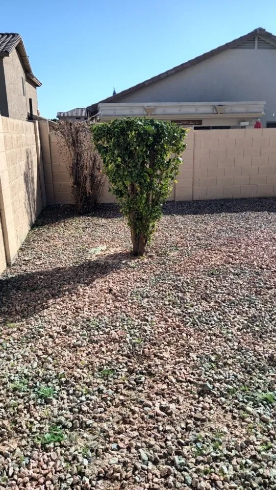 Custom landscape installation in Phoenix, AZ by E&E Landscaping Services