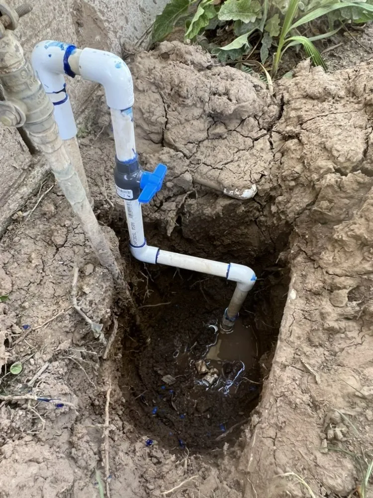 Reliable residential landscaping in Phoenix, AZ by E&E Landscaping Services