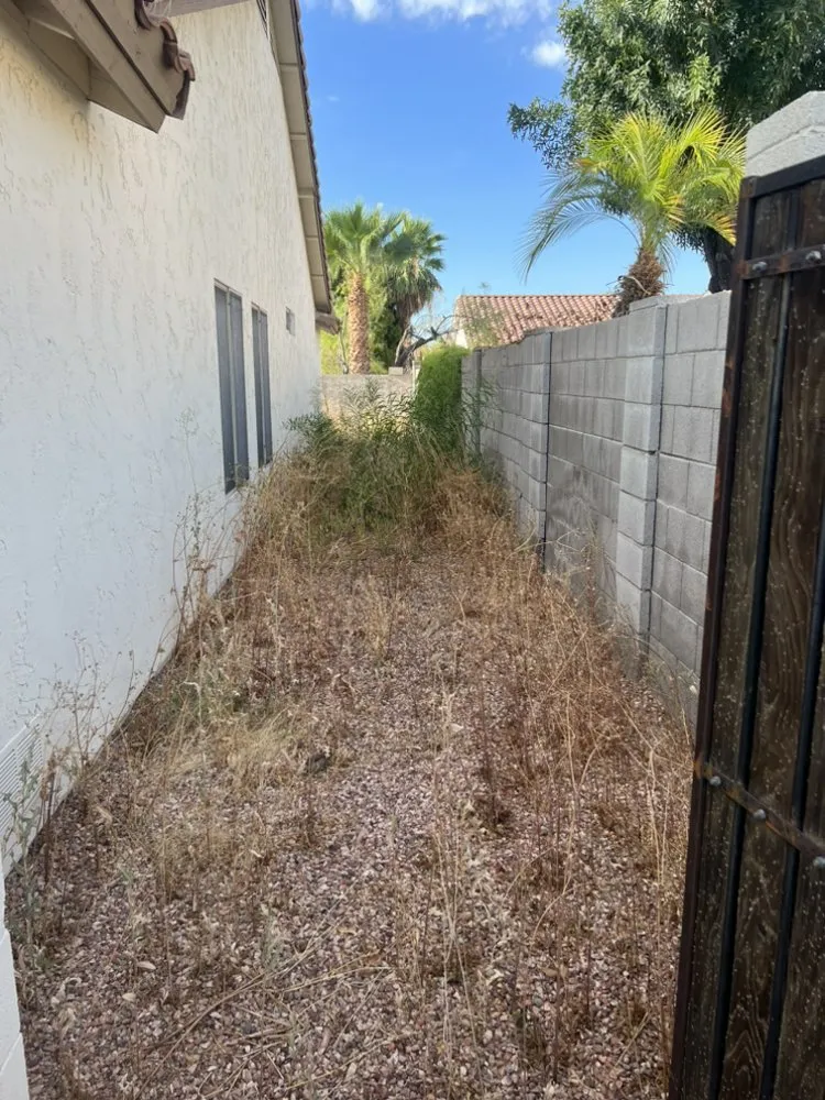 Trusted landscaping services in Phoenix, AZ by E&E Landscaping Services