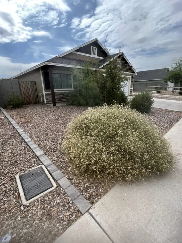 Expert residential landscaping for homes across Phoenix, AZ - E&E Landscaping Services