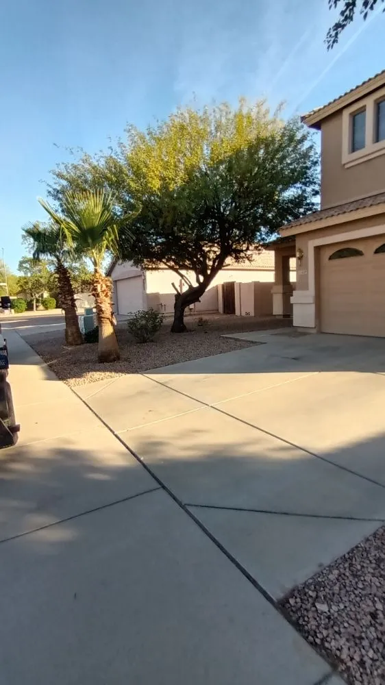 Professional outdoor landscaping in Phoenix, AZ - E&E Landscaping Services