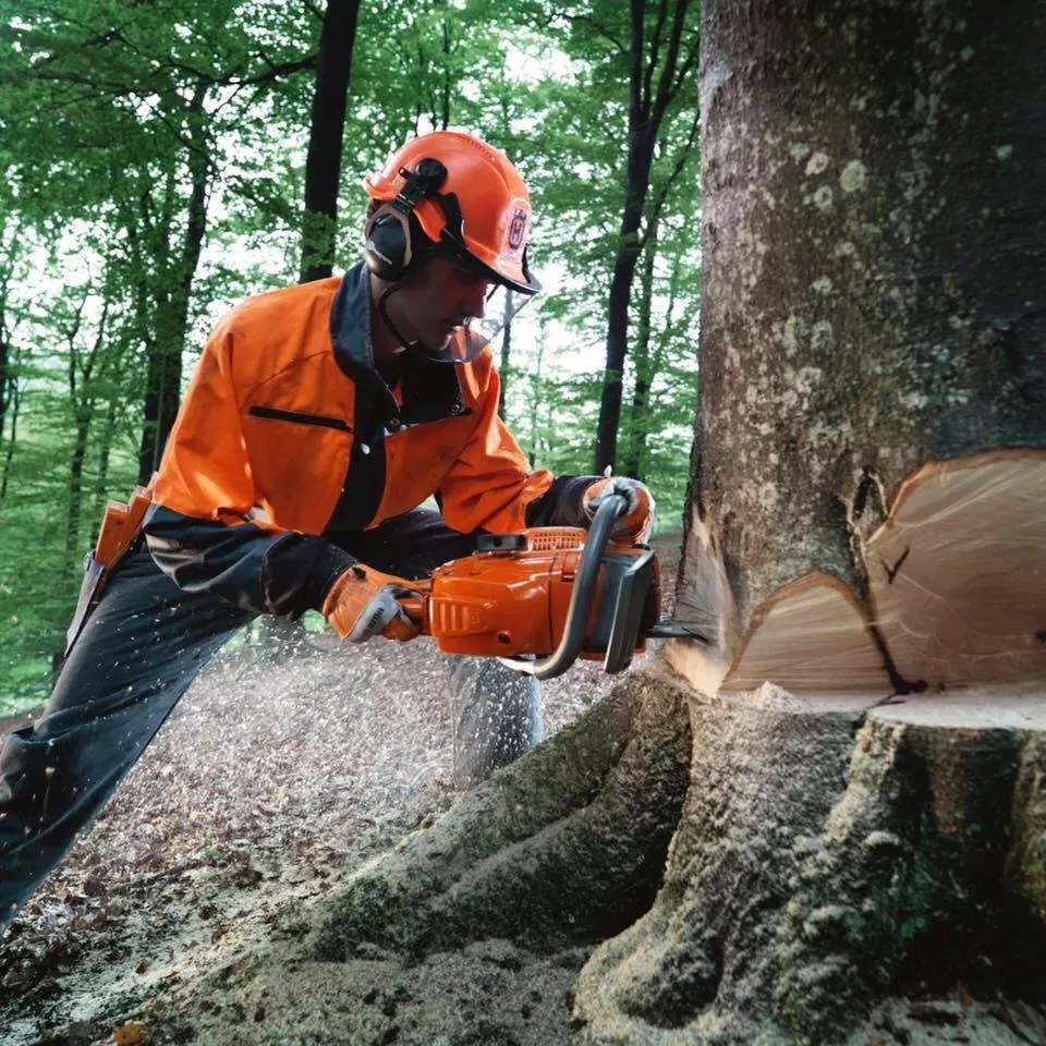 Expert lawn mowing service near you across Wheaton, MD - E&E Landscaping