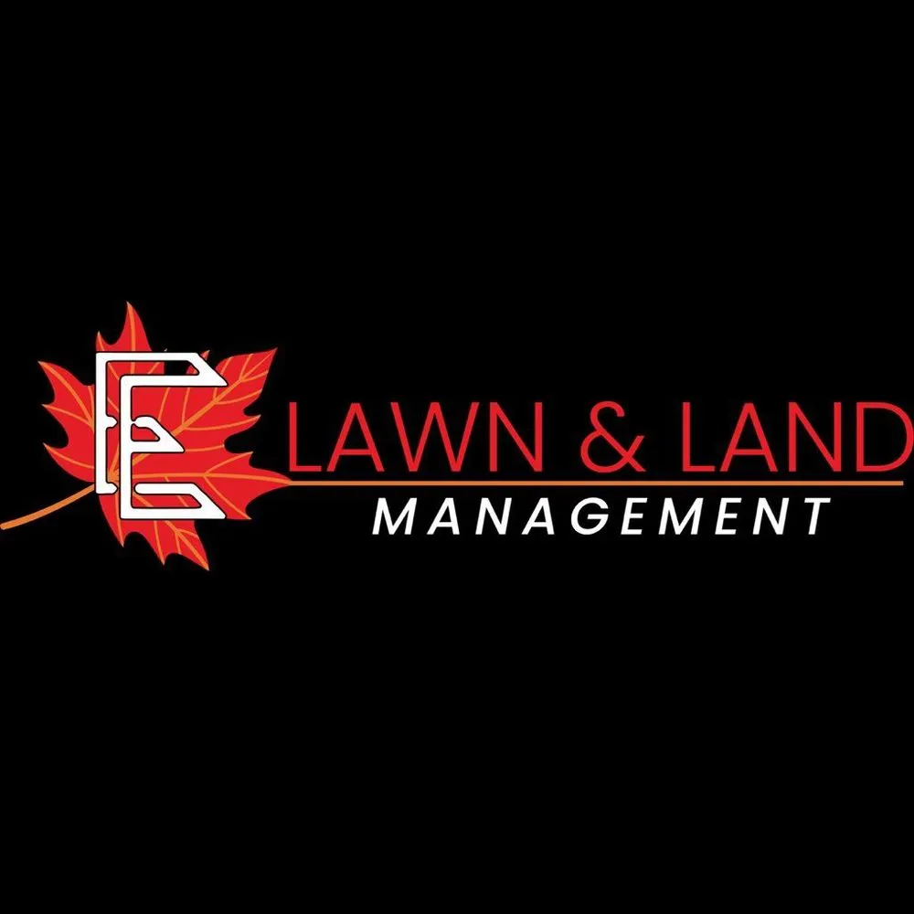 Local yard cleanup service in Monroe, GA by E&E Lawn & Land Management