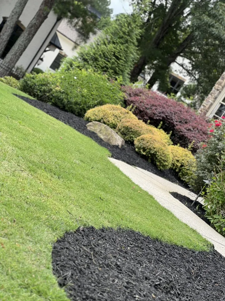 Expert outdoor landscaping in Monroe, GA by E&E Lawn & Land Management