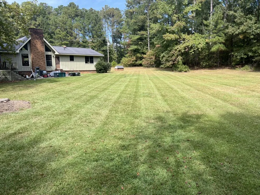 Custom yard maintenance experts serving Monroe, GA - E&E Lawn & Land Management