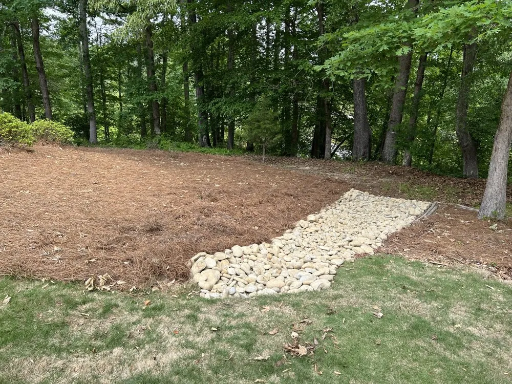 Expert residential landscaping for beautiful yards across Monroe, GA - E&E Lawn & Land Management