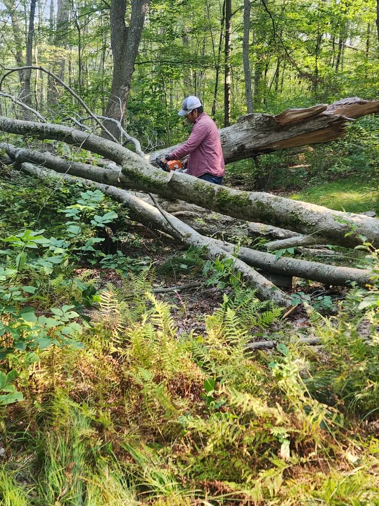 Custom yard cleanup service for year-round maintenance in Millerton, NY by E&E Lawn care and Landscaping