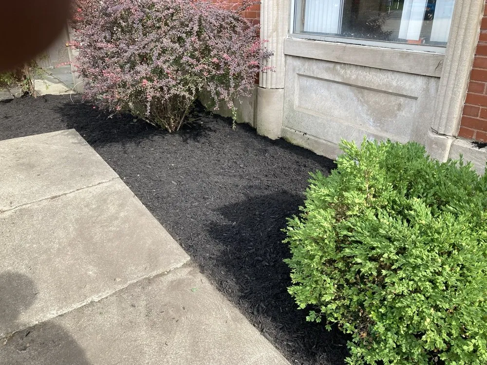 Custom yard cleanup service in Mansfield, OH by EE Lawn Care