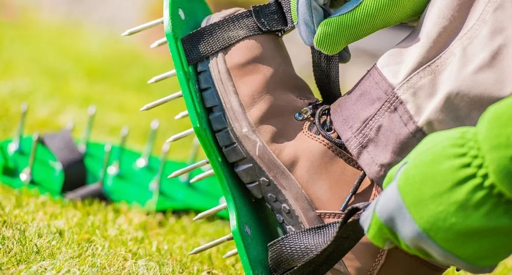 Top-rated residential landscaping near you in Sacramento, CA by E&E Lawn Care