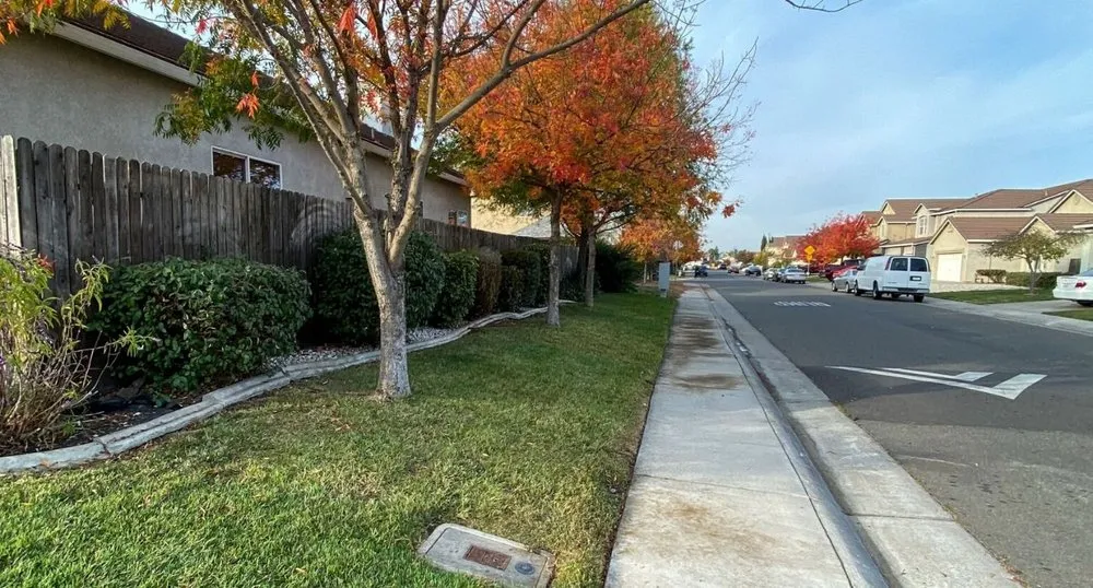 Custom outdoor landscaping experts serving Sacramento, CA - E&E Lawn Care