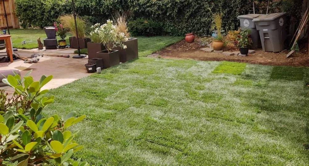 Expert lawn care service in Sacramento, CA by E&E Lawn Care