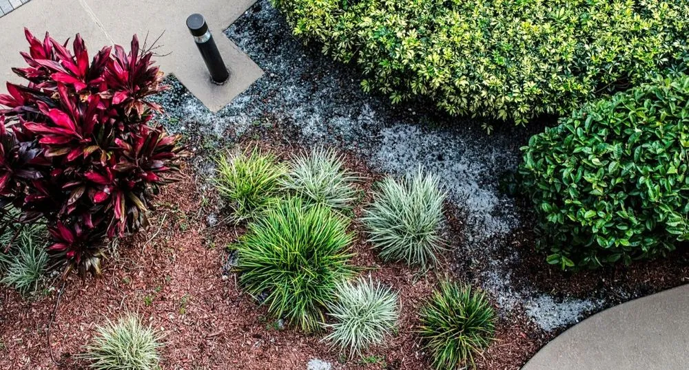 Local landscape installation experts serving Sacramento, CA - E&E Lawn Care
