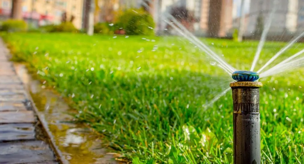 Top-rated residential landscaping for homes in Sacramento, CA by E&E Lawn Care