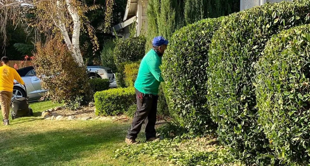 Top-rated residential landscaping in Sacramento, CA by E&E Lawn Care