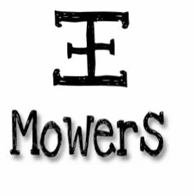 Custom yard cleanup service in Ingleside, IL by E&E Mowers