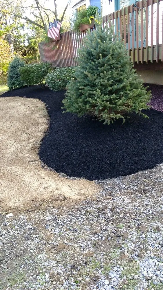 Professional lawn care service for beautiful yards in Lehighton, PA by E&E Property Management